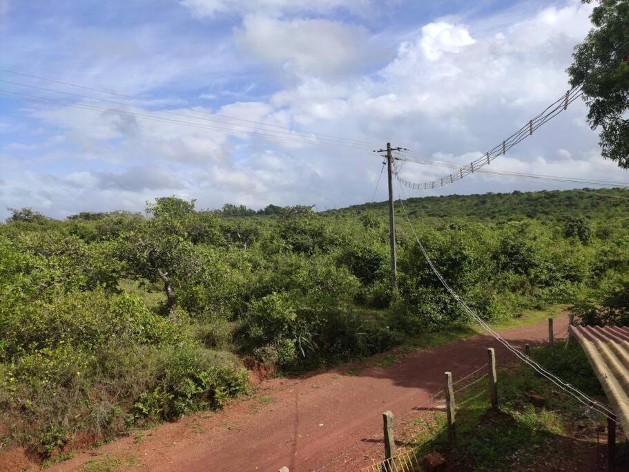 Kamanabillu Homestay, For Jog Falls Travellers Siddapur Luaran gambar