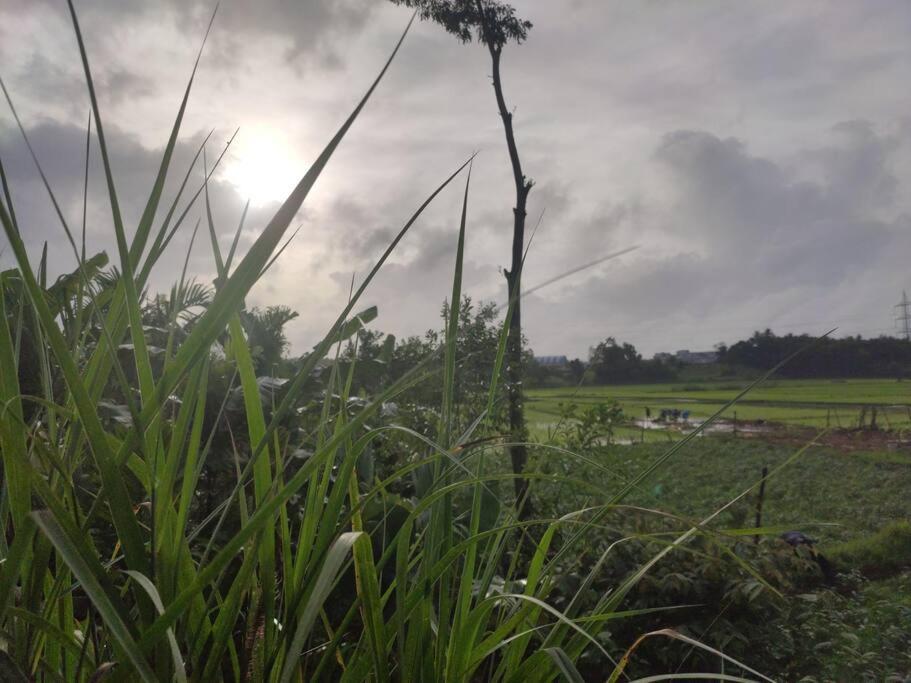 Kamanabillu Homestay, For Jog Falls Travellers Siddapur Luaran gambar
